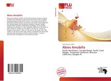 Copertina di Abies Amabilis