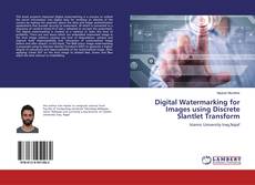 Digital Watermarking for Images using Discrete Slantlet Transform的封面