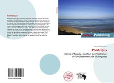 Couverture de Pontrieux
