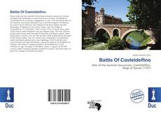 Bookcover of Battle Of Casteldelfino