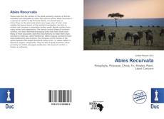 Abies Recurvata的封面