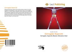 Обложка Corrugator Supercilii