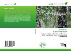 Abies Veitchii kitap kapağı