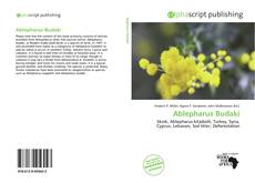 Ablepharus Budaki的封面