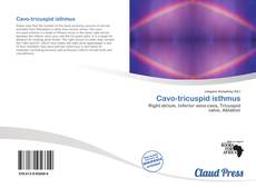 Cavo-tricuspid isthmus的封面