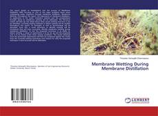 Bookcover of Membrane Wetting During Membrane Distillation