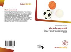 Buchcover von Mario Larramendi