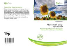 Abyssinian Slaty-flycatcher kitap kapağı