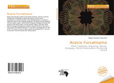 Bookcover of Acacia Furcatispina