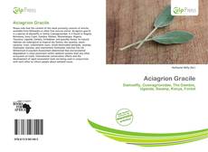 Portada del libro de Aciagrion Gracile
