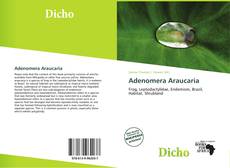 Copertina di Adenomera Araucaria