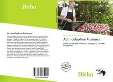 Copertina di Actinodaphne Pruinosa