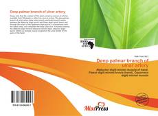 Обложка Deep palmar branch of ulnar artery