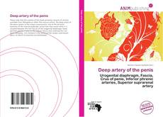 Couverture de Deep artery of the penis