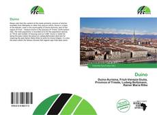 Обложка Duino