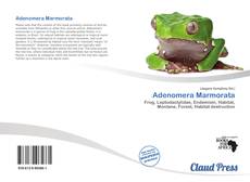 Adenomera Marmorata kitap kapağı