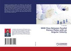Copertina di MHD Flow Between Parallel Porous Plates with an Angular Velocity