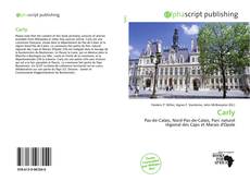 Borítókép a  Carly - hoz