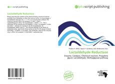 Borítókép a  Lactaldehyde Reductase - hoz