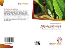 Buchcover von Aethiothemis Solitaria