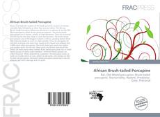Bookcover of African Brush-tailed Porcupine
