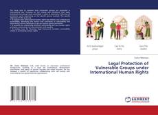 Capa do livro de Legal Protection of Vulnerable Groups under International Human Rights 
