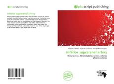 Inferior suprarenal artery的封面