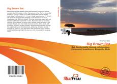 Обложка Big Brown Bat