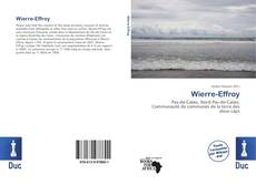 Bookcover of Wierre-Effroy