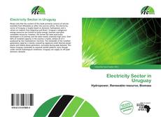 Bookcover of Electricity Sector in Uruguay