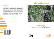 Black Myotis kitap kapağı