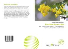 Обложка Brazilian Brown Bat