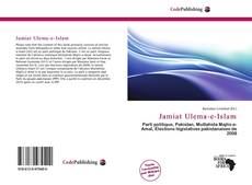 Jamiat Ulema-e-Islam kitap kapağı
