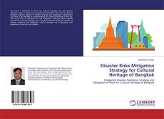 Buchcover von Disaster Risks Mitigation Strategy for Cultural Heritage of Bangkok