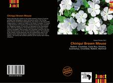 Copertina di Chiriqui Brown Mouse