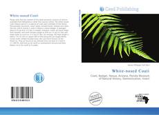 White-nosed Coati的封面