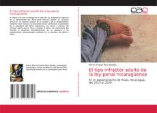 Bookcover of El tipo infractor adulto de la ley penal nicaragüense