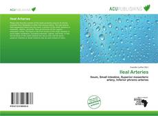 Copertina di Ileal Arteries