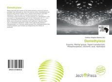 Demethylase的封面