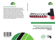 Borítókép a  Bartolomeo Ammannati - hoz