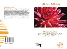 Borítókép a  Melastoma Affine - hoz