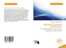 Bookcover of Adenylyl-sulfate Reductase