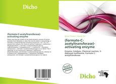 Copertina di (formate-C-acetyltransferase)-activating enzyme
