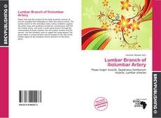 Buchcover von Lumbar Branch of Iliolumbar Artery