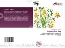 Copertina di Lacrimal Artery