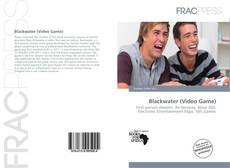 Blackwater (Video Game)的封面