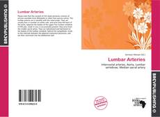 Buchcover von Lumbar Arteries