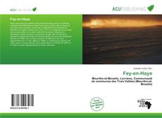 Copertina di Fey-en-Haye