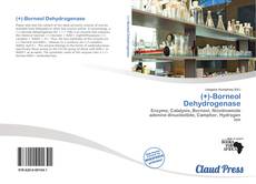 Copertina di (+)-Borneol Dehydrogenase