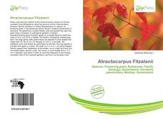 Atractocarpus Fitzalanii kitap kapağı